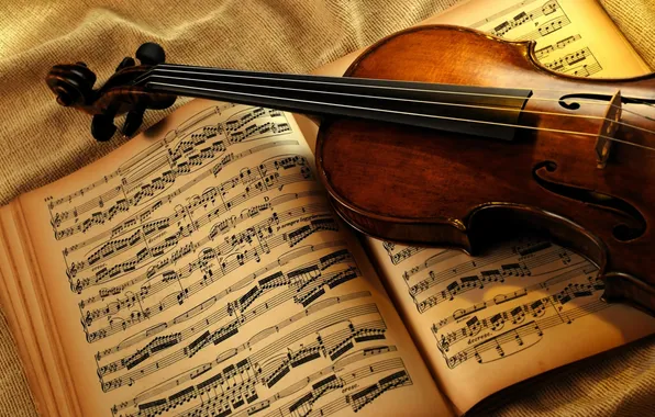 Notes, violin, strings, musical instrument
