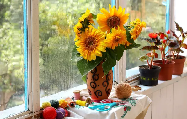Drops, light, sunflowers, flowers, yellow, rain, window, pot