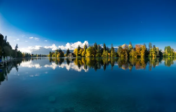 Autumn, water, trees, reflection, river, Switzerland, Switzerland, Aare river