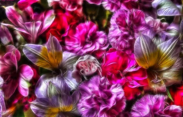 Picture flowers, abstraction, photo