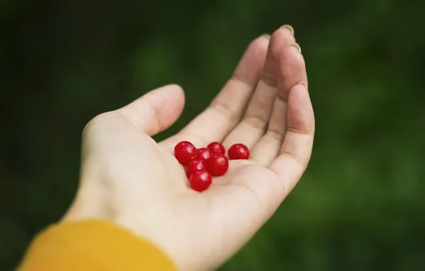 Berries, hand, fingers