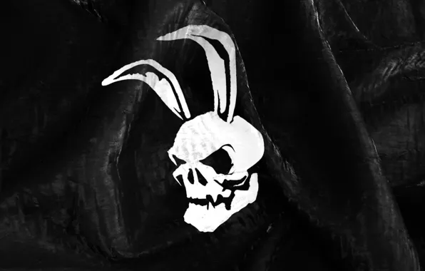 Black, skull, Bunny, ears