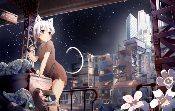 Girl, Kitty, Neko