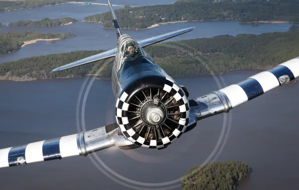 The plane, T-6, training, Texan II