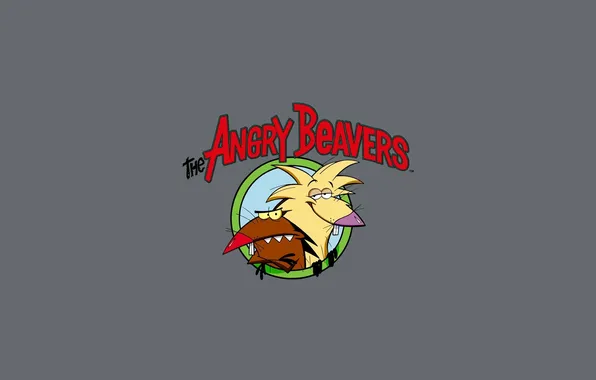 Wallpaper, cartoon, USA, wallpapers, Angry Beavers, Angry Beavers