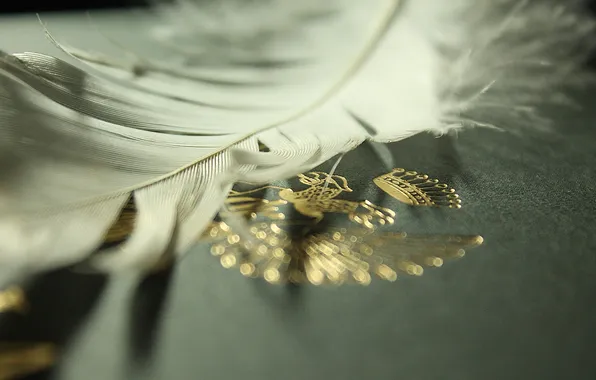 White, eagle, feathers, book, gold plated, coat of arms