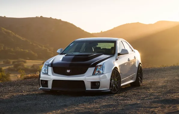 Picture Cadillac, CTS-V, Black, White, Wheels