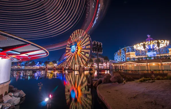 Lights, Night, Trees, Park, Disneyland, Ferris Wheel, Night landscape