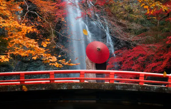 Autumn, forest, trees, mountains, branches, red, bridge, nature