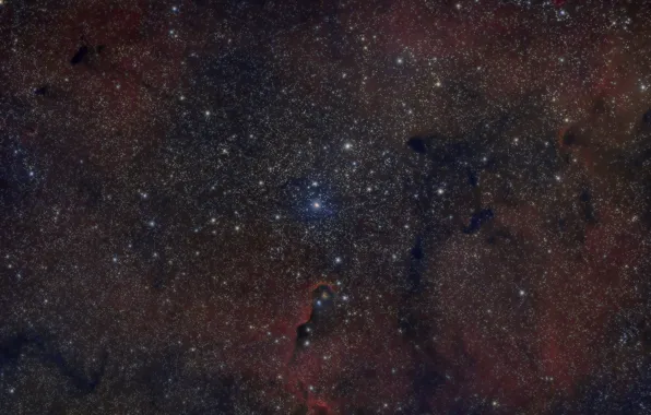 Stars, nebula, Elephant's Trunk, IC 1396