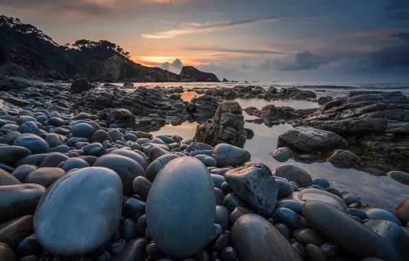 Picture sea, the sky, clouds, trees, pebbles, stones, rocks, the evening