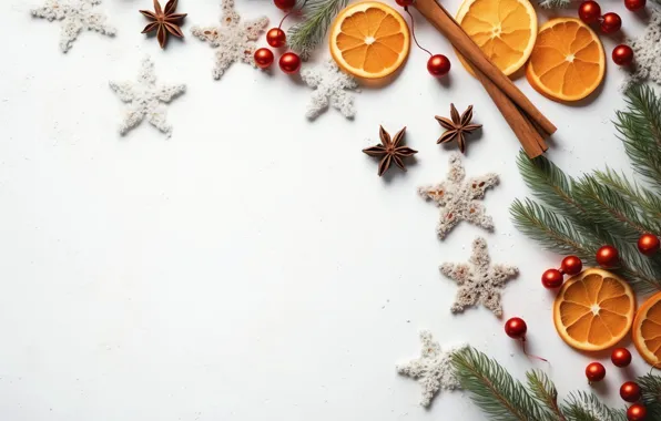 Branches, oranges, Christmas, white background, New year, fruit, needles, circles