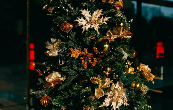 Winter, glass, balls, flowers, night, branches, the dark background, holiday