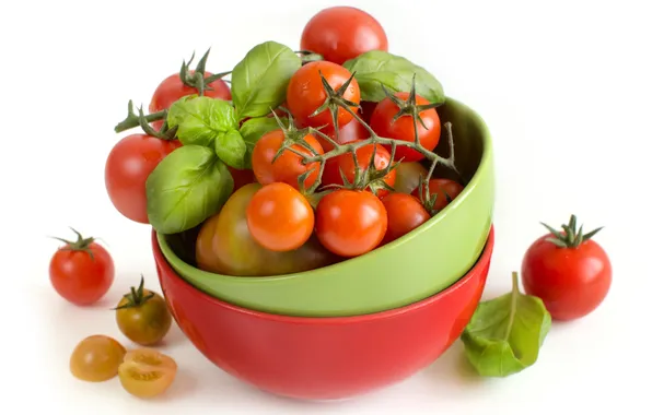 Tomatoes, tomatoes, Basil