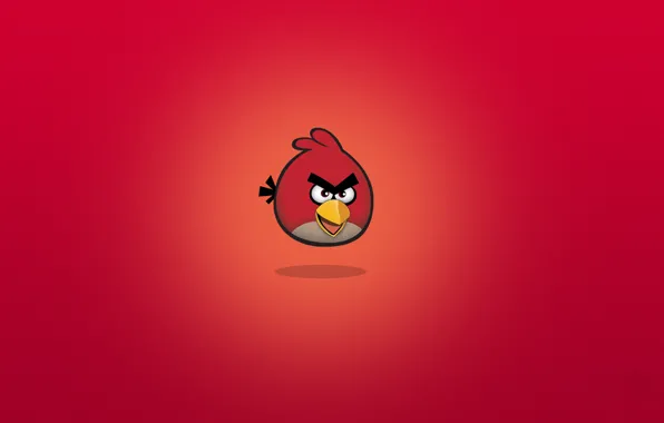 Bird, cartoon, Rio, Angry Birds, Rio