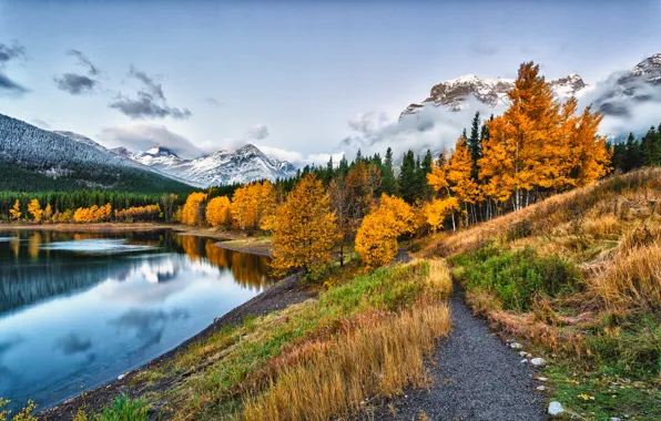 Picture road, autumn, forest, the sky, leaves, water, clouds, snow