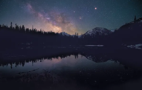 Forest, stars, mountains, night, lake, reflection, shore, The milky way
