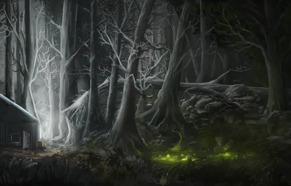 Forest, light, night, house, figure, swamp