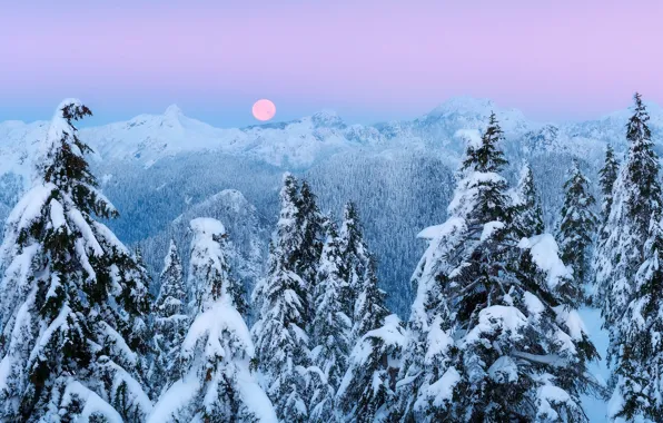 Winter, snow, mountains, the moon, the evening