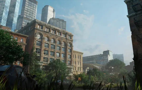 Picture machine, the city, Apocalypse, The Last of Us