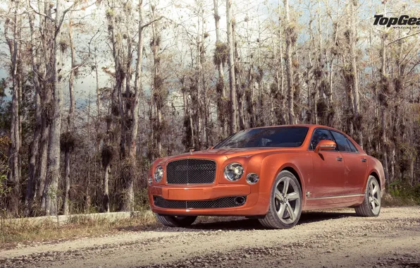 Picture Bentley, Top Gear, Orange, Speed, Road, Ligth, Mulsanne