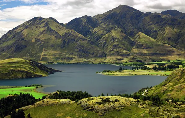 Picture greens, mountains, lake, new Zealand