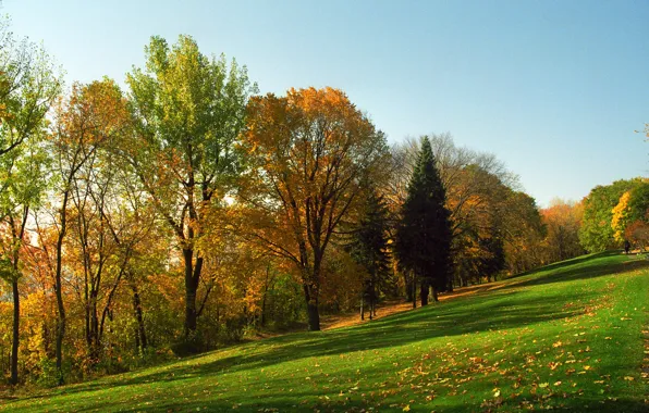 Picture autumn, Canada, QC