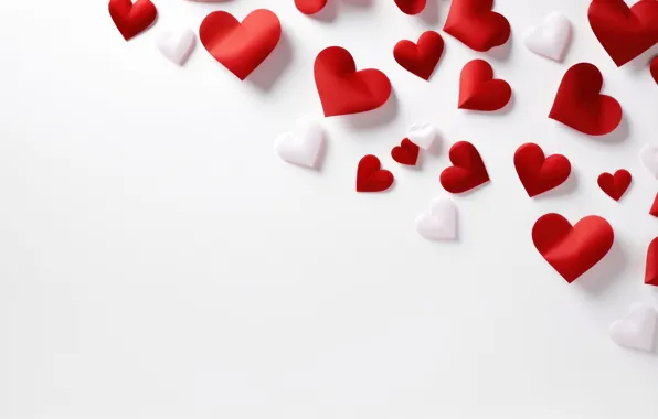 Love, holiday, heart, heart, hearts, white background, heart, congratulations