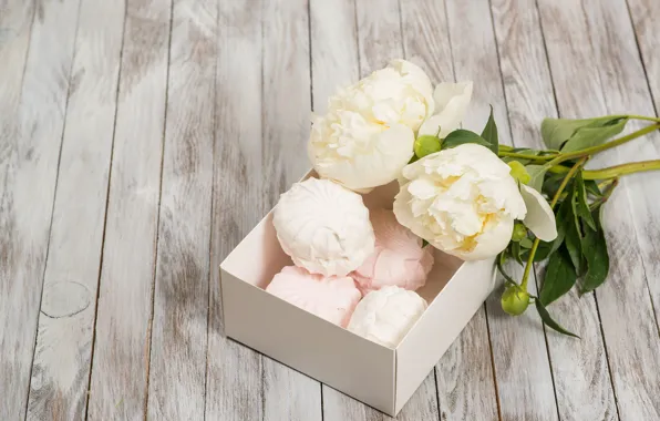 White, flowers, romantic, peonies, marshmallows, peonies, valentine`s day