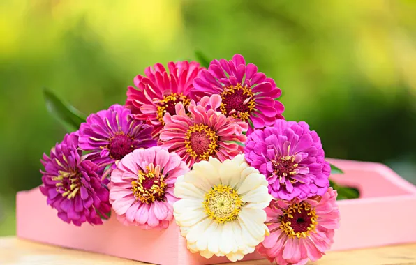 Flowers, Bouquet, Zinnia