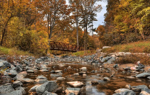 Autumn, forest, trees, bridge, stones, Canada, river, Canada