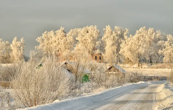 Picture winter, frost, beauty, frost, Tverskaya obl