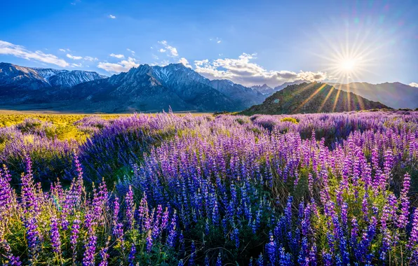 The sky, the sun, landscape, mountains, CA, USA, Alabama Hills