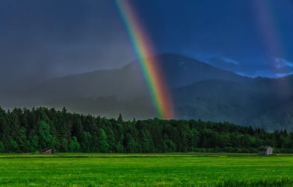 Forest, mountains, rainbow, Germany, Bayern, meadow, Germany, Bavaria