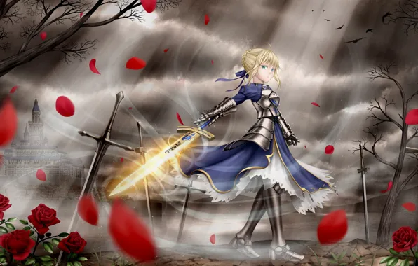 Picture girl, the city, petals, the saber, Fate stay night, Fate / Stay Night