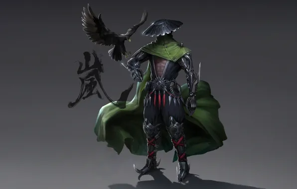 Japan, Eagle, Fantasy, Storm, Warrior, Asia, Cyborg, Armor