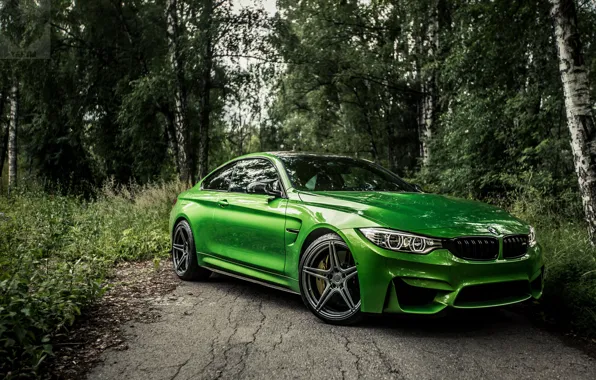 Picture green, bmw, BMW, green, auto, new, f82, bestbmw