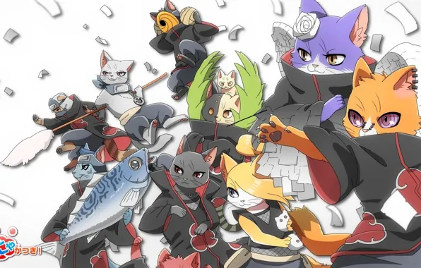 Cats, attack, fish, parody, Naruto, paper, Itachi, ninja