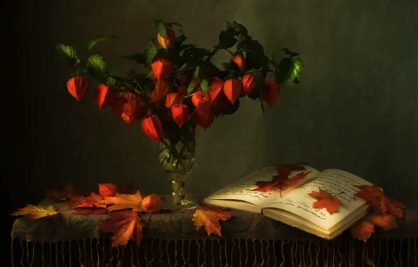 Table, glass, bouquet, book, still life, records, physalis, autumn leaves