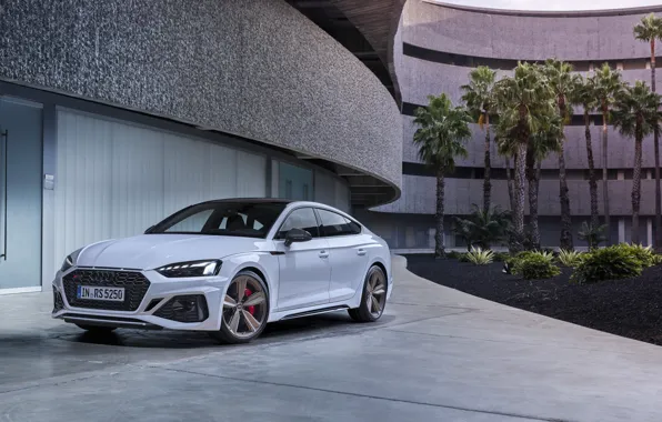 Picture Audi, RS5, Sportback, RS 5, 2020