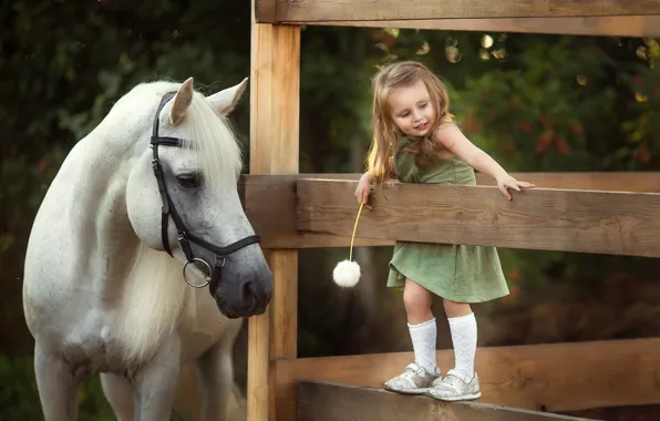 Picture joy, dandelion, horse, the fence, girl