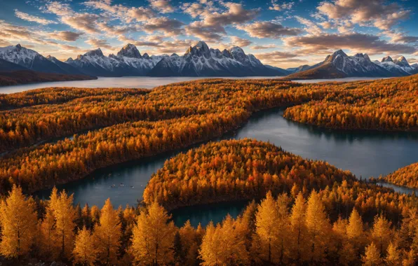 Picture river, forest, sky, autumn, landscape