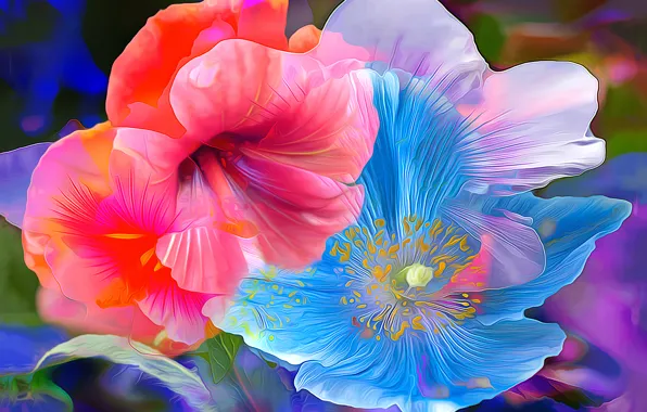 Picture line, flowers, paint, Mac, hibiscus