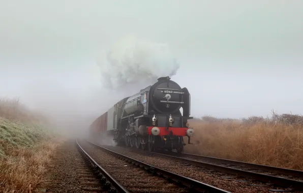 Train, the engine, railroad