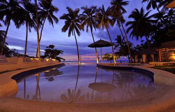 Wallpaper palm trees, the ocean, the evening, pool, resort