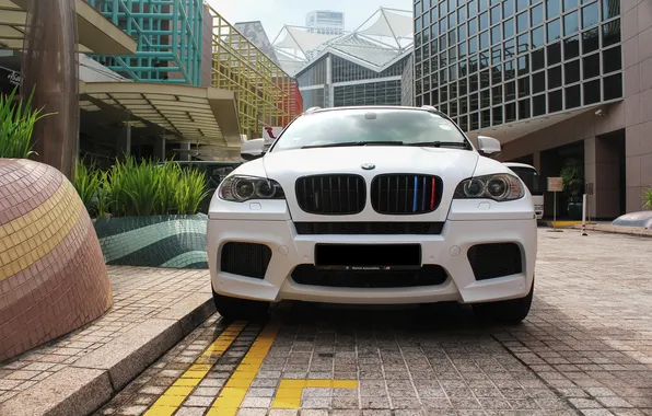 Picture white, tuning, bmw, BMW, jeep, white, the front, singapore