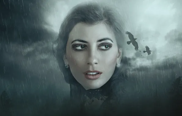 The sky, look, girl, birds, clouds, face, rendering, rain