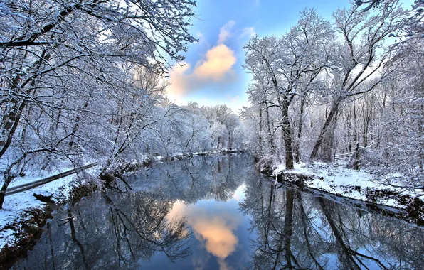 Winter, forest, snow, reflection, river