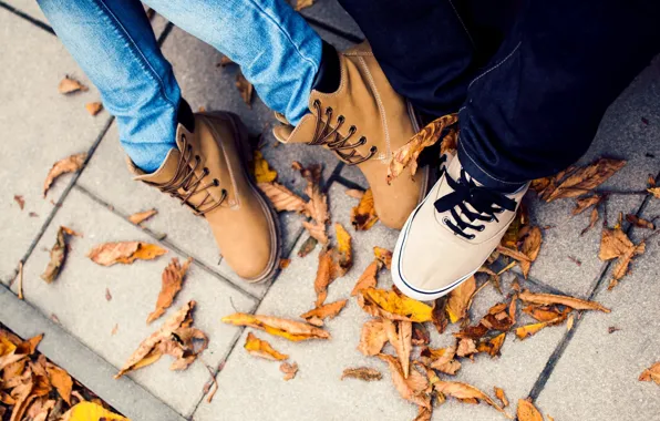Autumn, leaves, shoes, sneakers, shoes