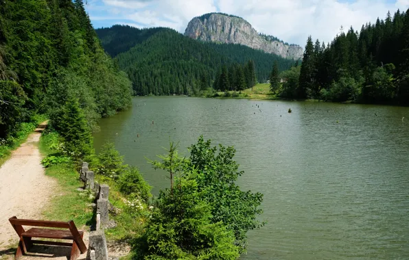 Forest, bench, lake, photo, Romania, Red Lake